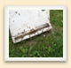 À l'entrée de la ruche, la planche d'envol sert d'espace de communication pour les abeilles.  