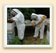 Combinaisons, masques et gants protègent l'apiculteur lorsque les abeilles se montrent peu « coopératives ».    