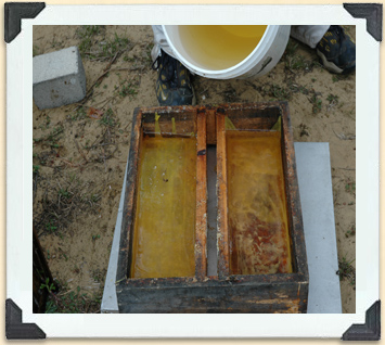 The top feeder's two troughs of syrup, separated by a wooden board, allow the bees to feed without drowning. 