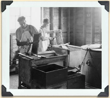 Utilisation de couteaux à désoperculer chauffés à la vapeur, sur une table à désoperculer, vers 1920 