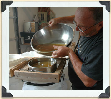 A hobbyist beekeeper pours freshly extracted honey through a filter and into a storage pail. 