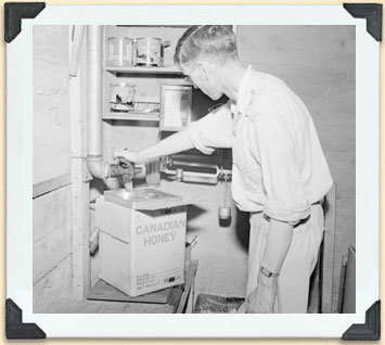 Filling bulk honey tins for shipment to the export market, ca 1930.   