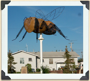 La plus grosse abeille du monde, au centre-ville de Falher, Alberta 