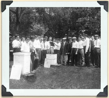 Ontario Agricultural College beekeeping students in a bee yard, ca 1920. 