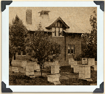 The research headquarters of the federal government's apiary program, Central Experimental Farm, ca 1920. 